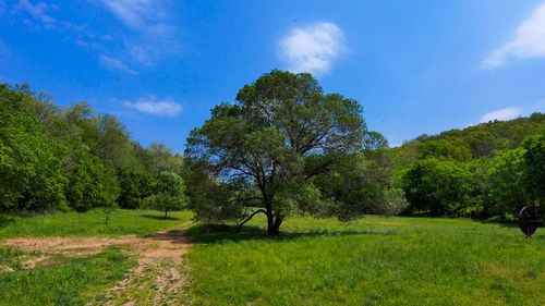 Discover Bella Vista